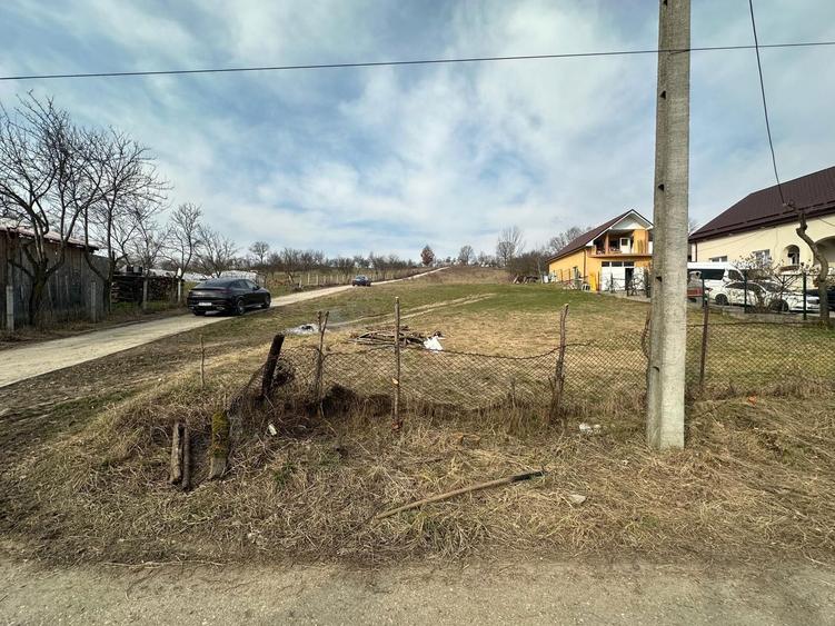 Teren de vanzare - 1