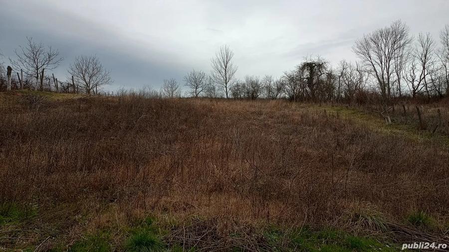 vand casa sat carnecea - 2