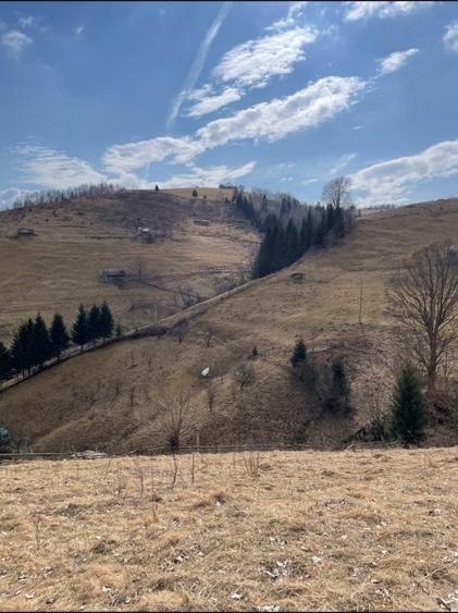 VÂNZARE TEREN CU POTENȚIAL DE DEZVOLTARE ÎN ZONA TURISTICĂ MAGURA-PESTERA - 12