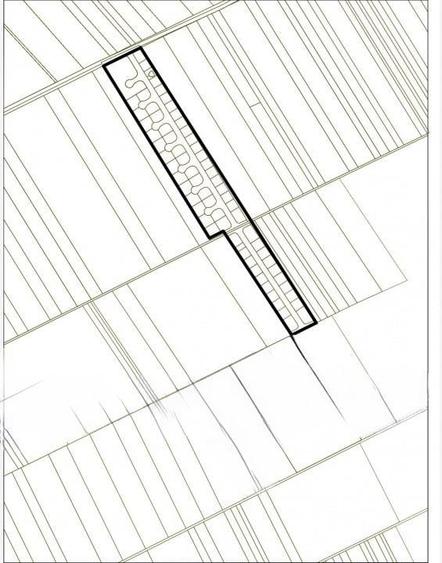 Frumusani-Pasarea '70 loturi cu drum într-o zona in dezvoltare - 9