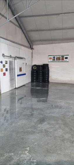 Hala 300mp+Depozit frigorific - 3