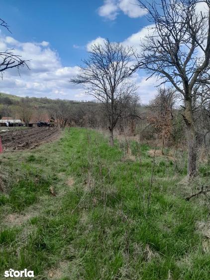 Teren de vanzare in Vaidei - 6