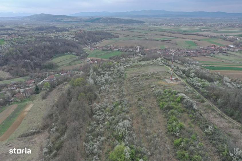 Teren 8114 mp lupoaia holod livada cf+topo acces auto aproape de sat - 6