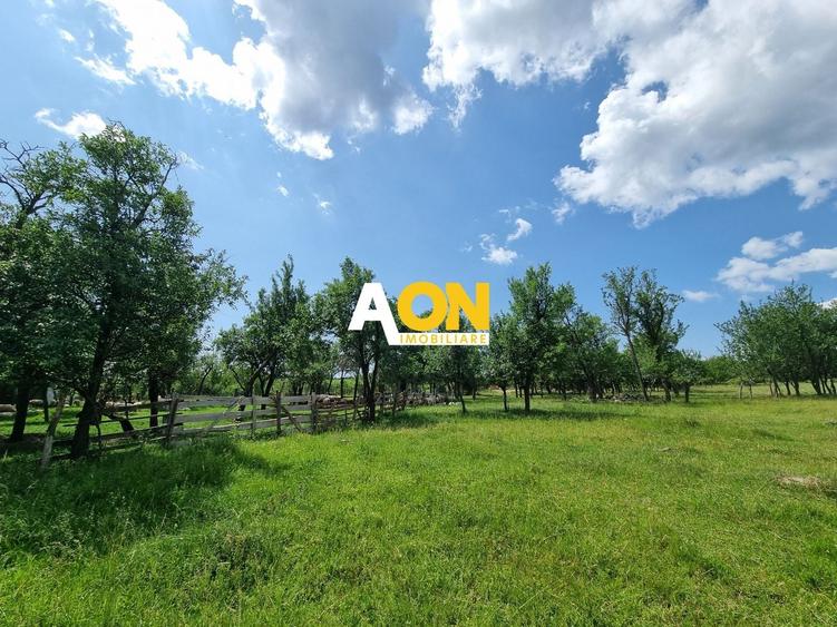 Teren Construcții intravilan de 5898 mp, în Periferie