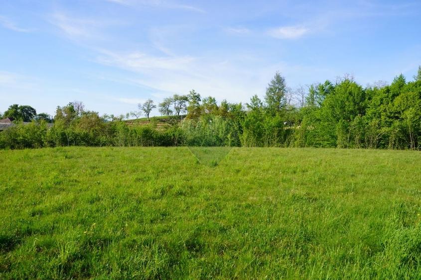 Teren 33,137mp Sighetu Marmatiei / Strada Mocanitei - 8