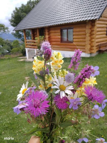 Proprietate cu Potential Triplu..LOCUINTA,INVESTITIE,TURISM!! - 15