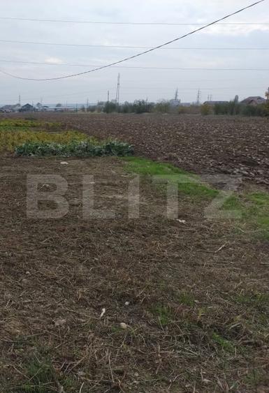 Teren extravilan, Isalnita, 13m deschidere, 3000mp - 1