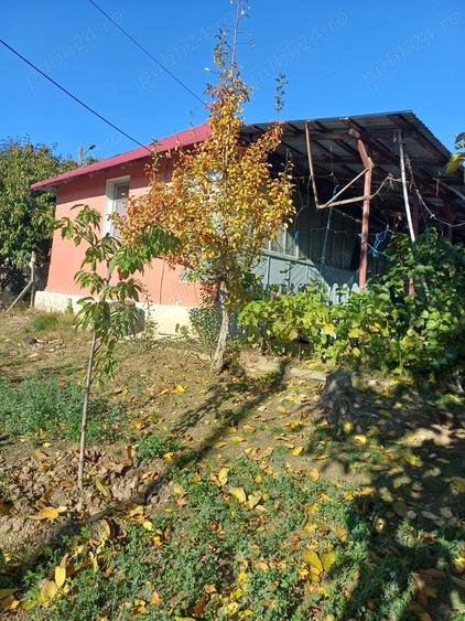 Casa batraneasca loc. Chiraftei 2100mp - 1