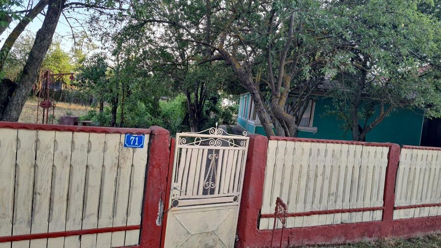 Casa de vanzare!!!Terenul aferent casei 5000mp - 2