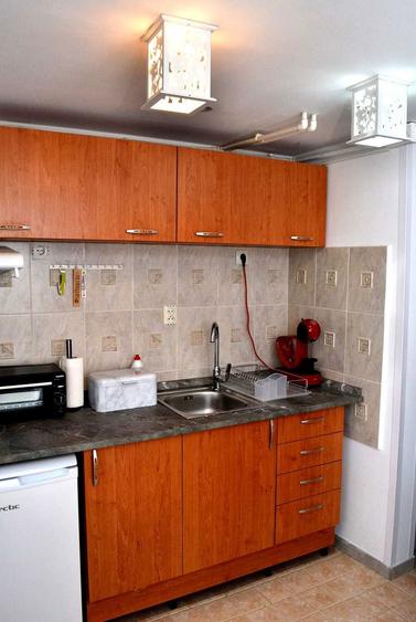 Apartament cu o camera DE INCHIRIAT Timisoara zona Aradului - 5