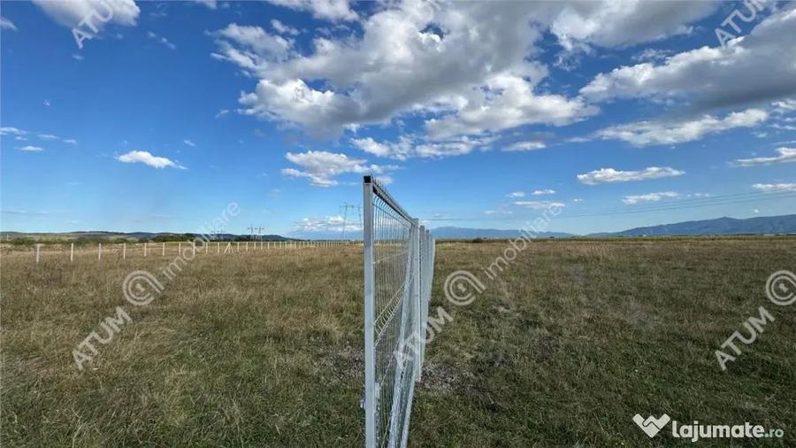 Teren 4200 mp situat in extravilanul zona Calea Surii Mici S - 2