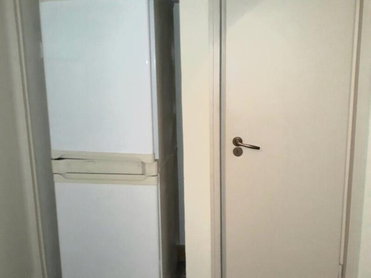 Lacul Tei, Parcul Circului, Lidl, Mega Image, adiacent - 13