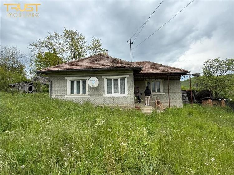 Casa la tara l teren 6600 MP l Aschileu Mare - 9