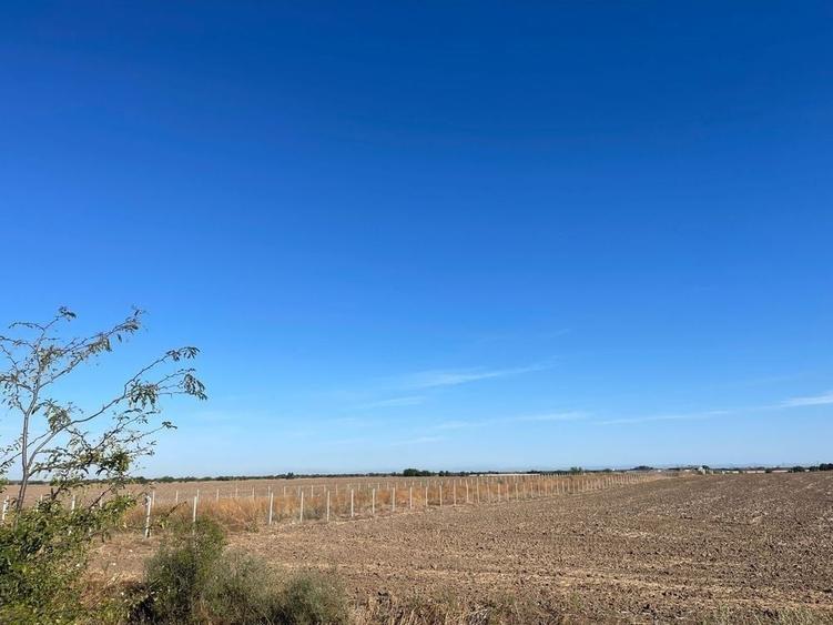 NOU! TEREN INTRAVILAN | LA LIMITA CU SEC 4 | OPORTUNITATI | JILAVA - 1