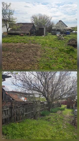 Casa de vanzare, teren 1439 mp, Ianova - 3