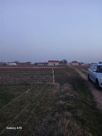 RECO Teren intravilan Girisu de Cris - 3