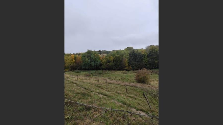 VIla de vanzare Teisani Stubeiu 11250 mp - 6