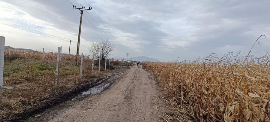 Teren intravilan industrial,str.Durau - 6