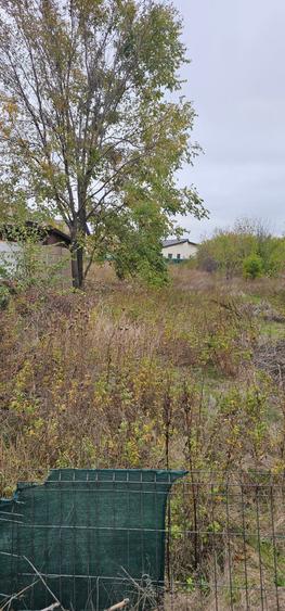 Domnești- Str.Fortului, 742mp, gaze, lumină - 2