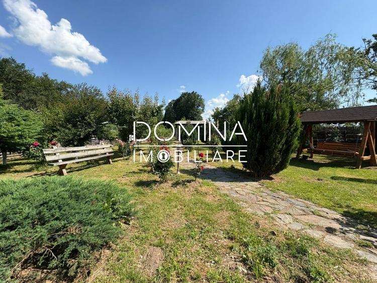 *Domeniu* cu potential turistic - casa de vis, livada si vie - Bumbesti-Jiu - 8