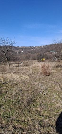 Teren Construcții intravilan de 860 mp, în Podgoria