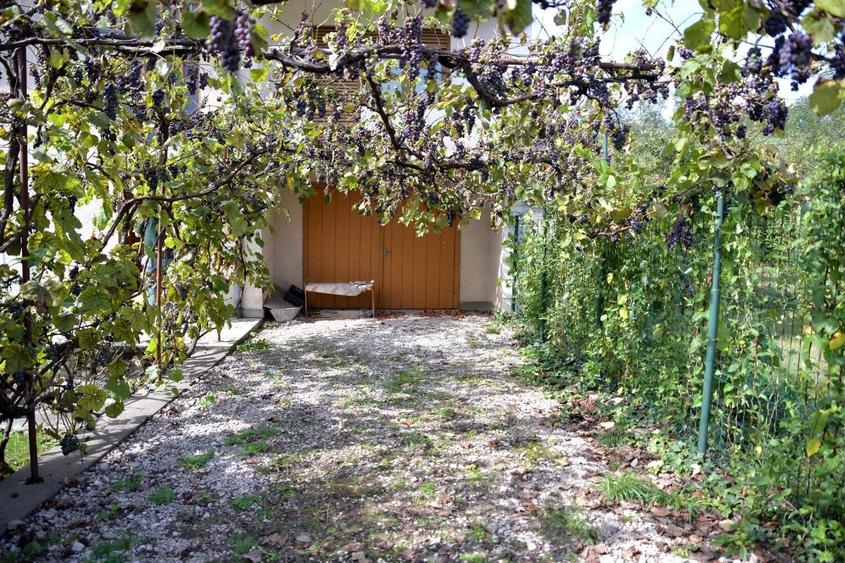 Casa cu etaj in Savarsin - 2