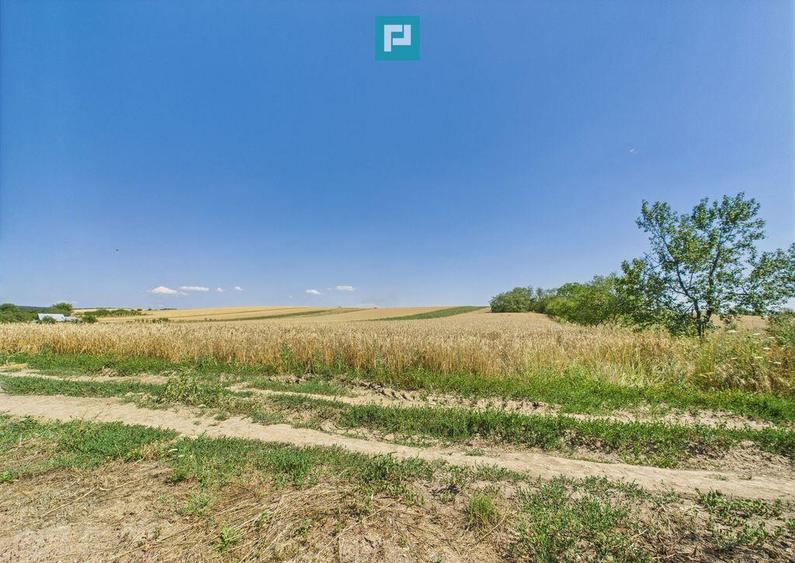 Teren intravilan + extravilan in Remetea Mica - 5