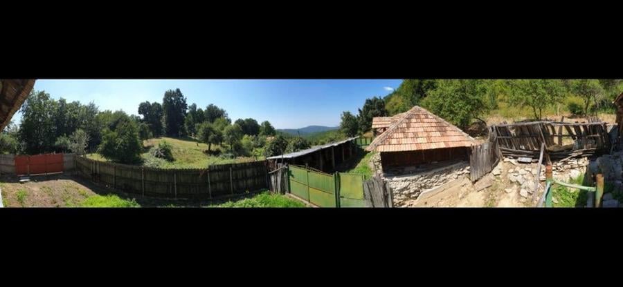 Casa veche la munte cu teren de 7500m2 - 5