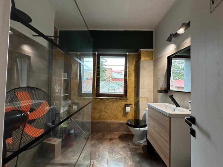 Vanzare - Proprietate cu Potential-Locuinta si Business - 18