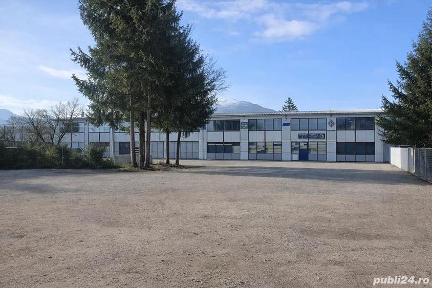 Hala industriala de inchiriat pe Calea Bucuresti folosinta multipla - 5
