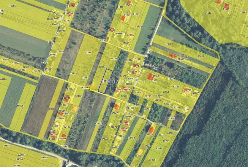 Teren intravilan Măgurele