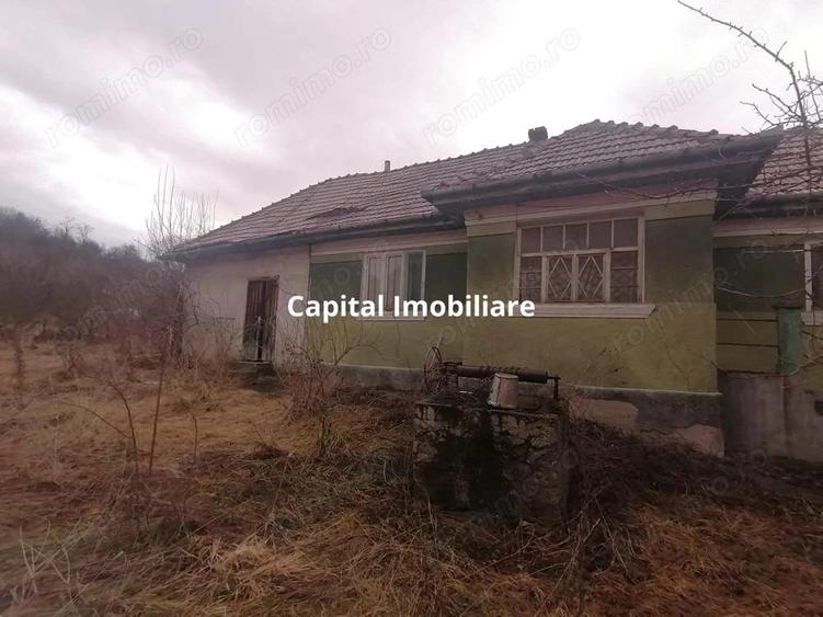 Casa cu utilita?i, teren 3040mp,Ceanu Mic, fara comision !! - 2