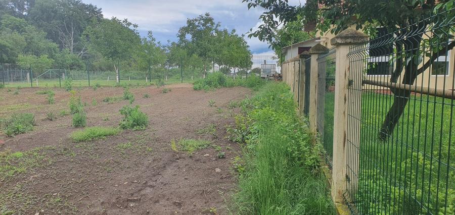 Snagov-Tancabesti, Teren de vanzare langa padure - 7