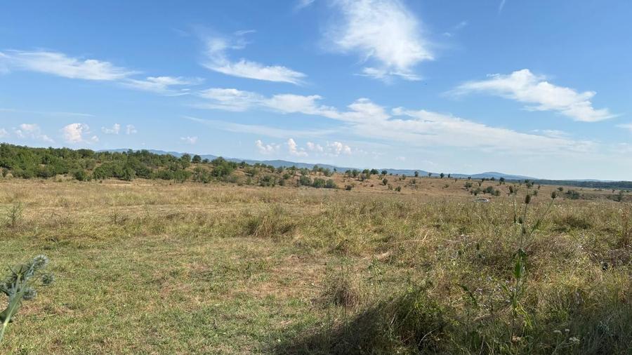 Teren intravilan langa padure - 2