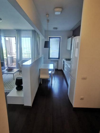 Băneasa, Ale. Privighetorilor-ZOO- etaj 4/7, 2 bai,terasa, mobilat, parcare. - 6