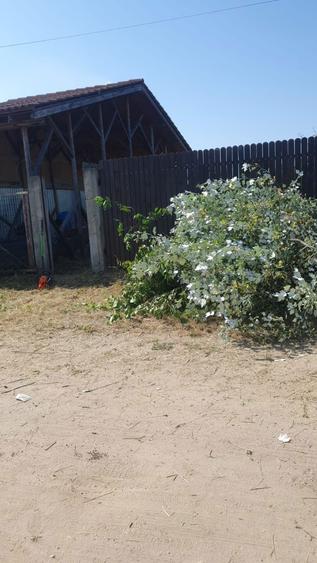 Vand teren in apropiere de centura de nord 397mp str.Liviu Rebreanu - 3