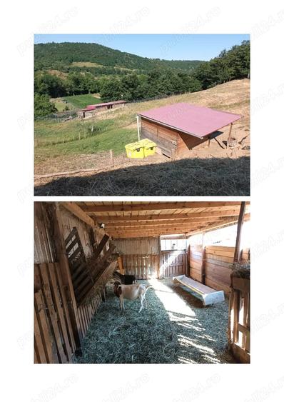 Casa cu ferma si pamanturi de vanzare - 6