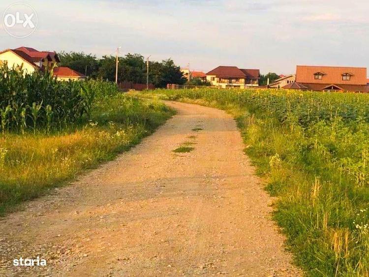 Teren intravilan de vanzare Ciofliceni | Ghermanesti | Snagov - 6