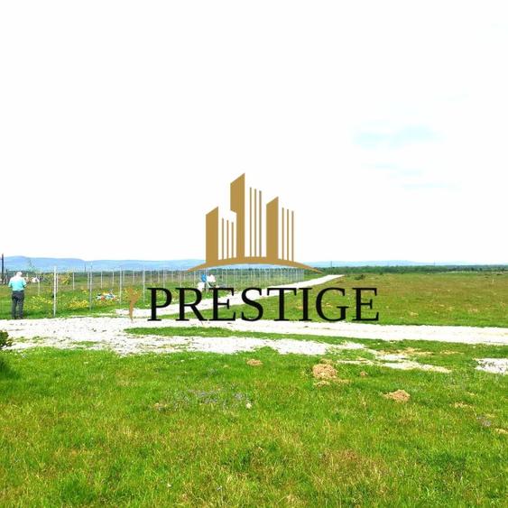 Teren Valea Avrigului – 1.000 mp | 1 km Dino Park | 25 €/mp - 5