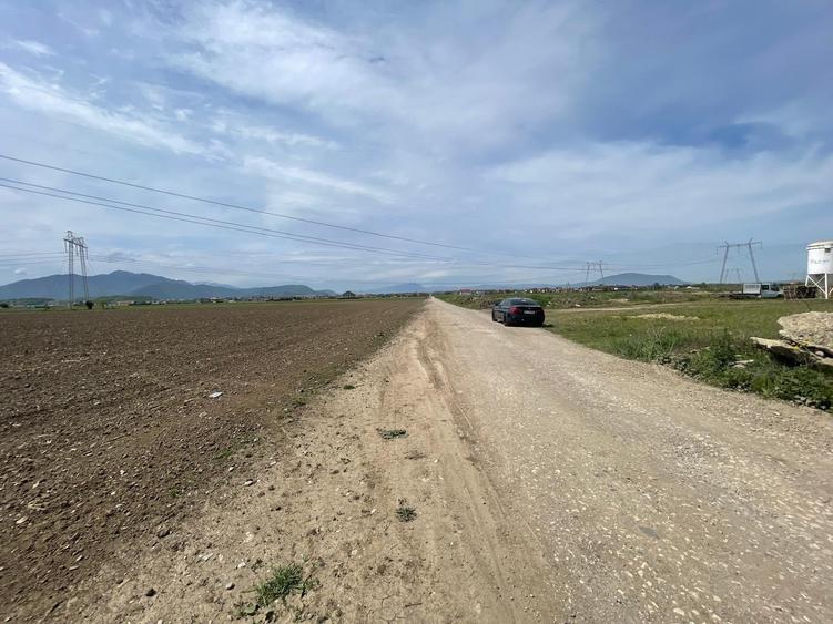 Teren Sanpetru str. Sfantul Andrei 32.100mp ! - 3