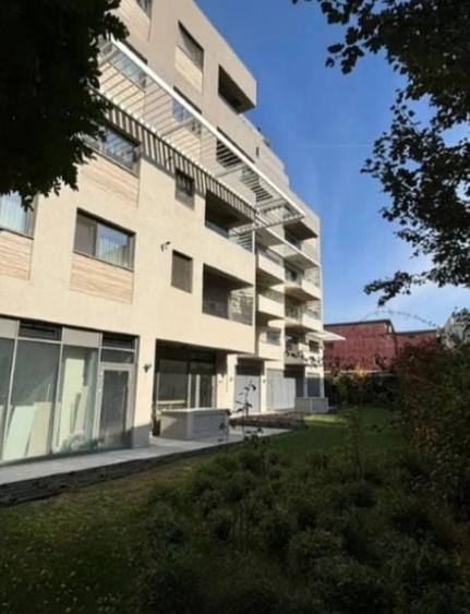 Zona Stefan cel Mare sp 313 mp inchiriat - 5