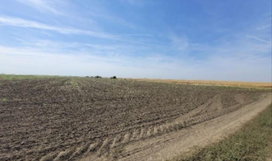 Vand teren arabil Braila - 1