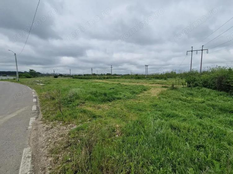 AZURA Imobiliare - Teren Stefanesti LIDL (Fitotron-Zavoi) - 4
