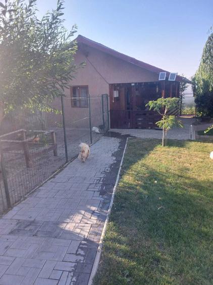 Vand casa parter 120 mp,teren 1000 mp + foisor si bucatarie vara 50 mp - 5