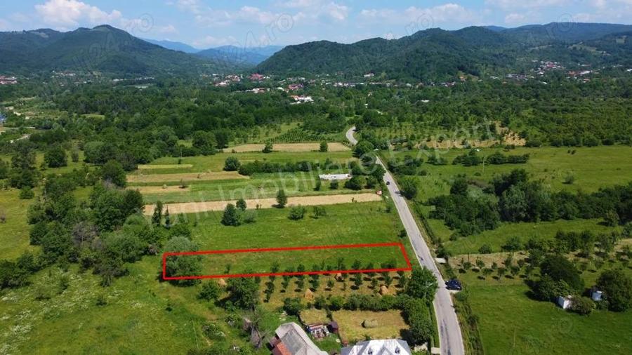 Teren de vanzare in comuna Domne?ti, jude? Arge?. - 8