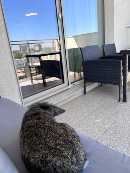 Luxuria Residence | Code MY032-02  |  620EUR+TVA - 29