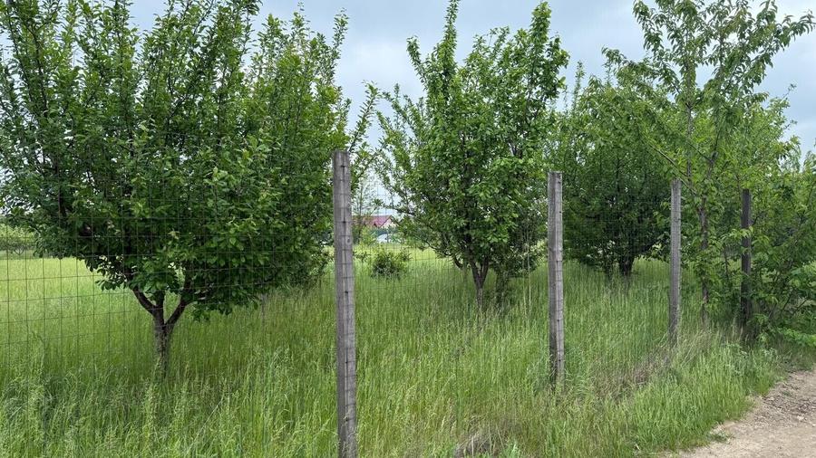 TEREN PENTRU CONSTRUCTIA CASEI, MIROSLAVA, VALEA URSULUI - 6