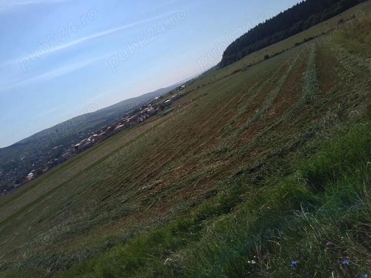 Chinteni 40 euro mp - 10