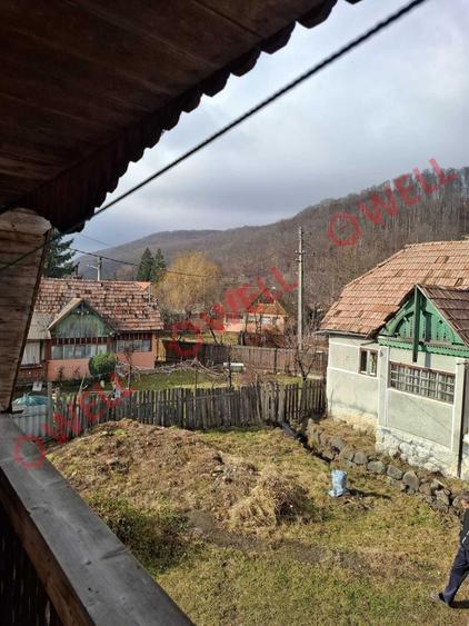 Case de vanzare in Campu Ceatati, pe acelasi teren! - 3