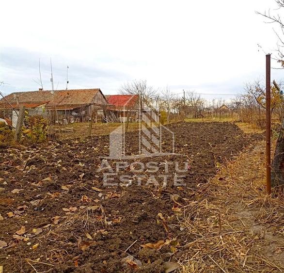 Teren 1000mp Cu Utilitati Dudesti Noi - 4